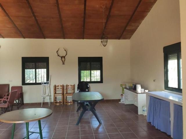 Terreno en venta en Guillena, Andalucia photo 0