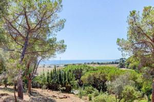 Terreno en venta en Cabrils, Sant Crist photo 0
