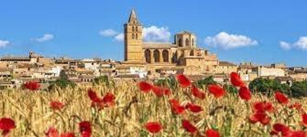 Terreno en venta en Sineu, Sineu photo 0