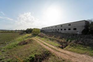 Chalet en venta en Ariany, Ariany photo 0