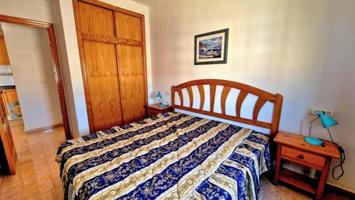 Apartamento en alquiler en Torrevieja, Centro photo 0
