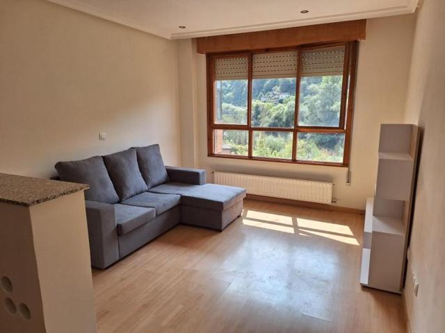 Planta baja en venta en Mieres, Figaredo - Turón photo 0