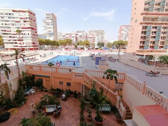 Piso en venta en Benidorm, Playa de Levante photo 0