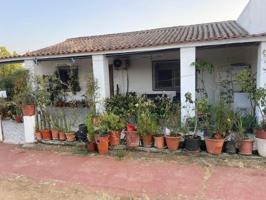 Casa con terreno en venta en Mérida, San Andrés photo 0