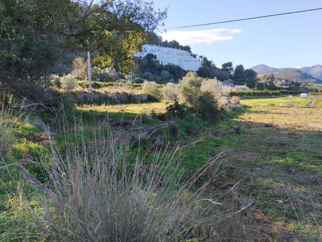 Casa con terreno en venta en Pego, Campo photo 0
