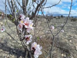 Terreno en venta en Salinas photo 0
