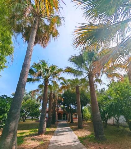 Chalet en venta en Chiclana de la Frontera, Pinar de los Franceses - Marquesado photo 0