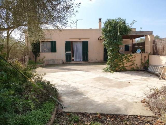 Casas de pueblo en venta en Ses Salines, Ses salines photo 0