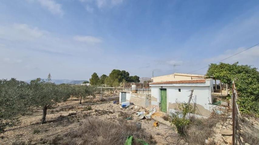 Casa con terreno en venta en La Romana, Comunidad valenciana photo 0