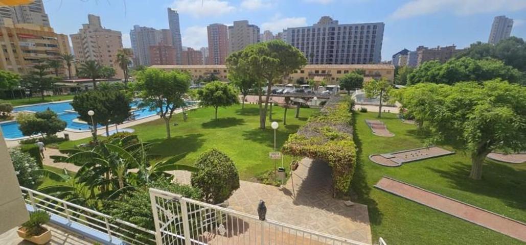 Apartamento en venta en Benidorm, Avenida Beniarda photo 0
