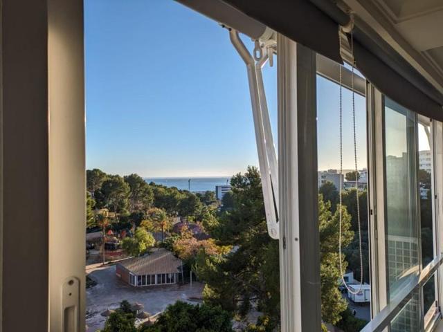 Aticos en venta en Calvia, Portals Nous photo 0