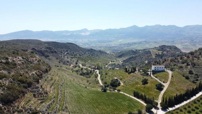 Casa con terreno en venta en Málaga, Gamarra photo 0