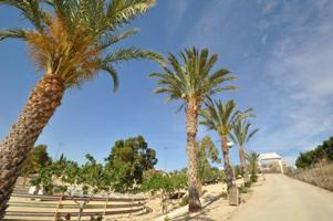 Local comercial en venta en Abanilla, ABANILLA photo 0