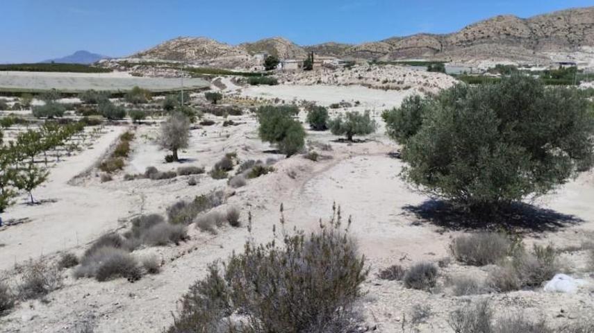 Terreno en venta en Molina de Segura, El Fenazar photo 0