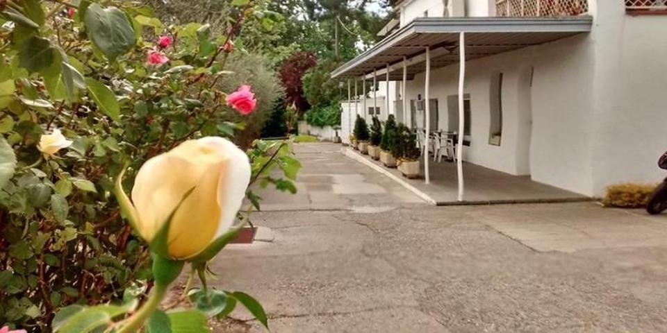 Local comercial en alquiler en Lleida, Cataluna photo 0