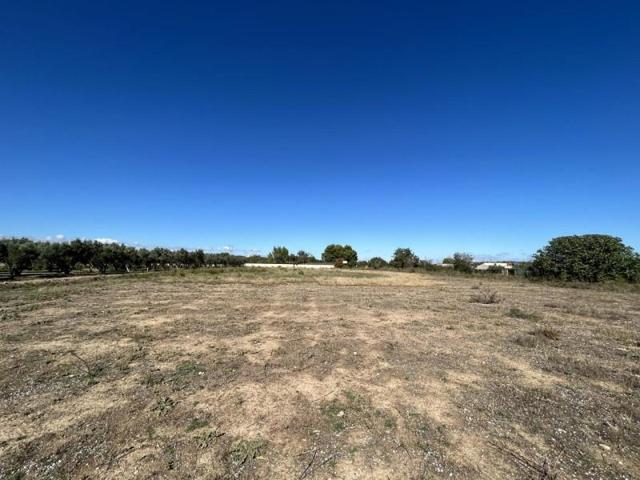 Terreno en venta en Tudela, Vial Trasversal, 31500 photo 0