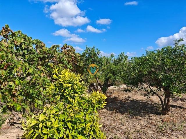 Terreno en venta en La Nucia, Pueblo photo 0