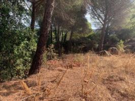 Terreno en venta en Córdoba, Trassierra photo 0