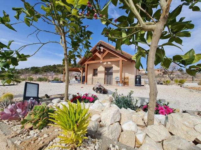 Chalet en venta en Abanilla photo 0