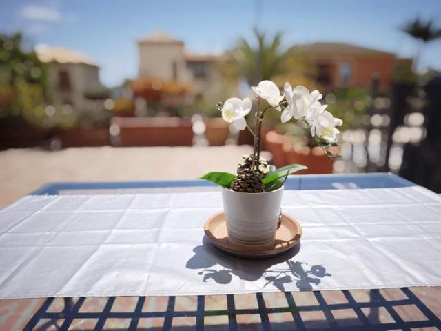 Adosada en venta en Adeje photo 0