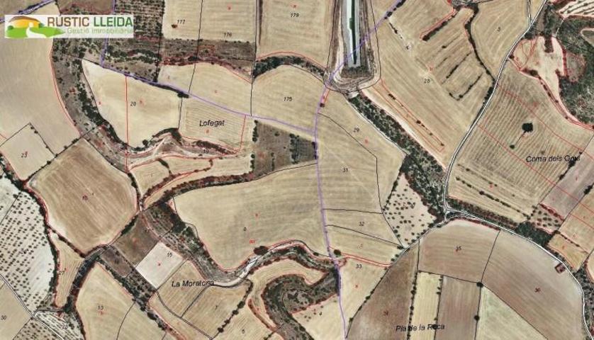 Terreno en venta en Tàrrega, Rodalies de tarrega photo 0