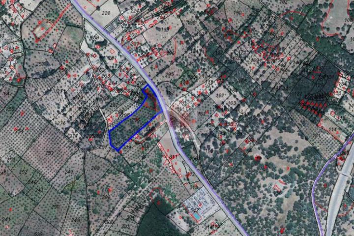 Terreno en venta en Segura de León, Segura De Leon photo 0