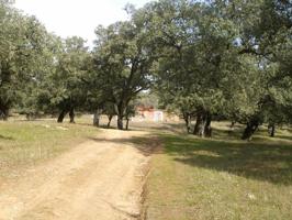 Terreno en venta en Cabeza la Vaca, Cabeza La Vaca photo 0