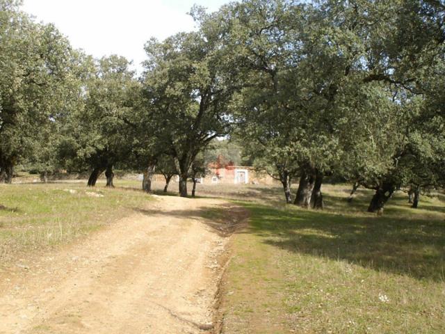 Terreno en venta en Cabeza la Vaca, Cabeza La Vaca photo 0