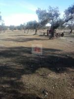 Terreno en venta en Fregenal de la Sierra, Fregenal De La Sierra photo 0