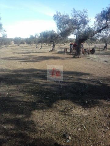 Terreno en venta en Fregenal de la Sierra, Fregenal De La Sierra photo 0