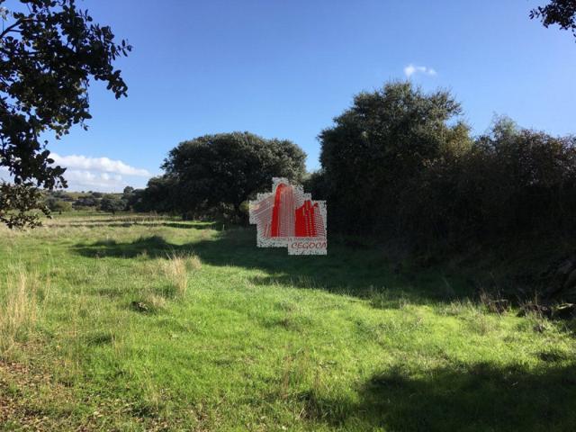 Terreno en venta en Cumbres de Enmedio, Cumbres De Enmedio photo 0