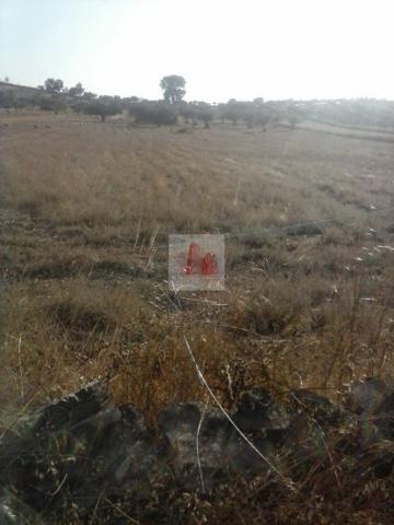 Chalet en venta en Fregenal de la Sierra, Fregenal De La Sierra photo 0