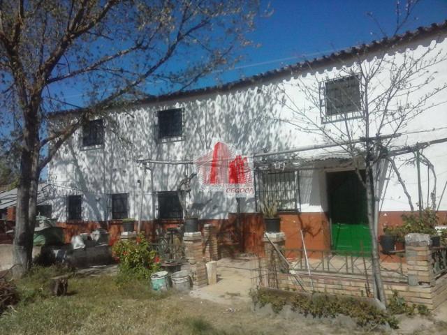 Chalet en venta en Higuera la Real, Higuera La Real photo 0