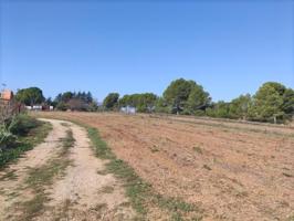 Terreno en venta en Saus, Camallera Pueblo photo 0