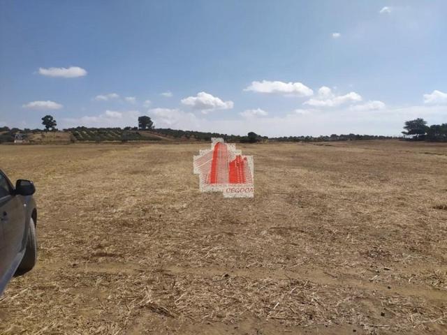 Chalet en venta en Fregenal de la Sierra, Fregenal De La Sierra photo 0