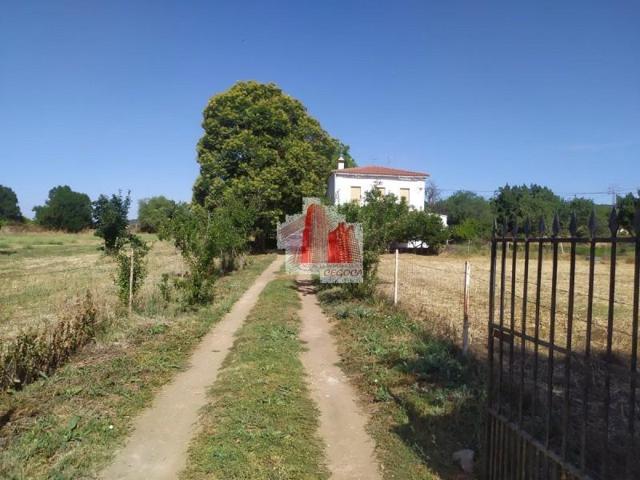 Chalet en venta en Higuera la Real, Higuera La Real photo 0