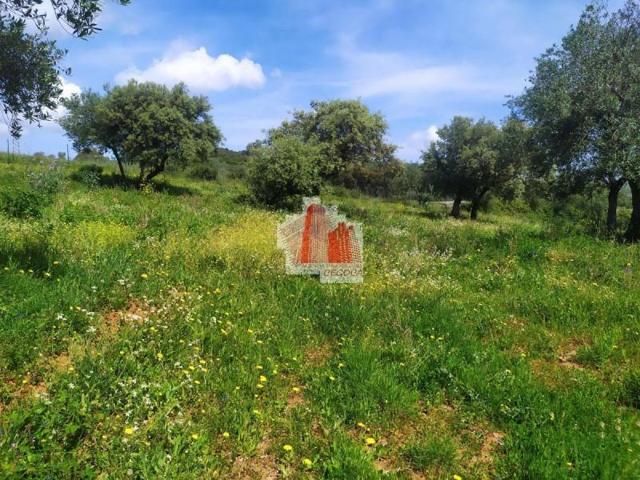 Chalet en venta en Higuera la Real, Rustica photo 0