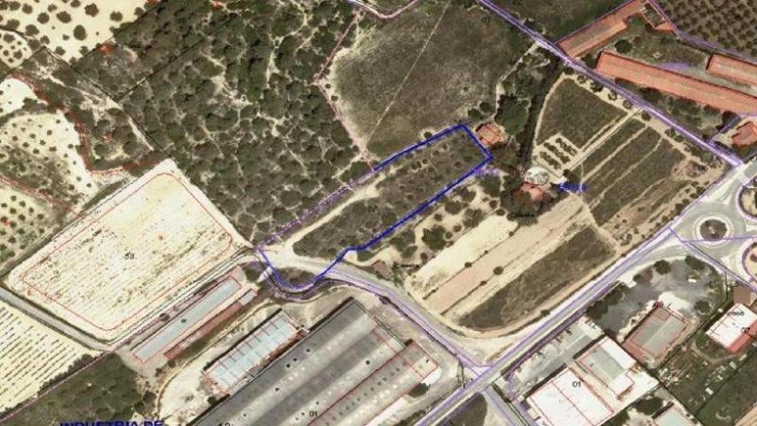 Terreno en venta en Vallmoll, Cataluna photo 0