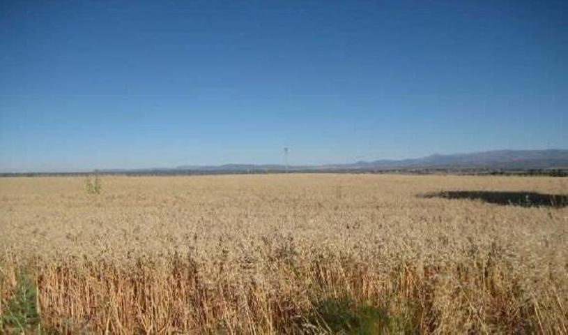 Terreno en venta en Algete, Algete photo 0