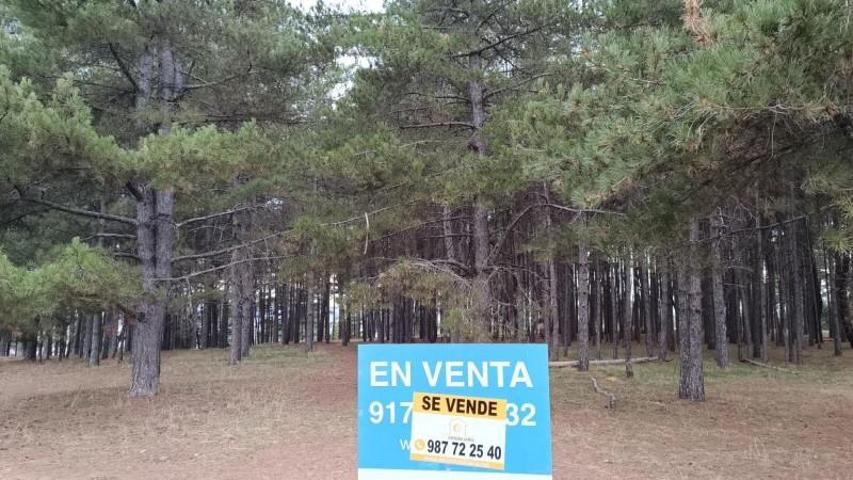 Terreno en venta en Valdefresno, Lomas Las photo 0