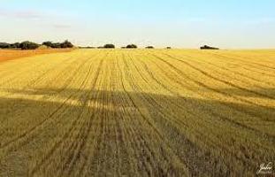 Chalet en venta en Teruel, Centro photo 0