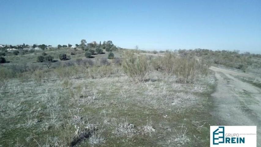Terreno en venta en Olías del Rey, Plaza nueva photo 0