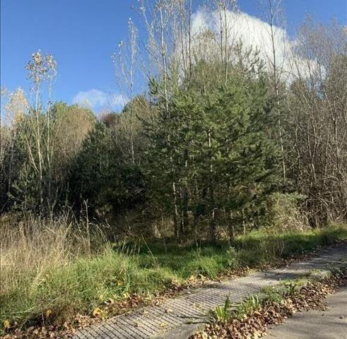 Terreno en venta en Boñar, Boñar photo 0