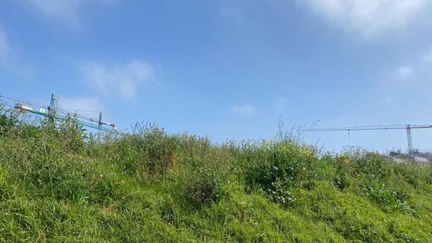 Terreno en venta en Santa Cruz de Bezana, Maoño photo 0