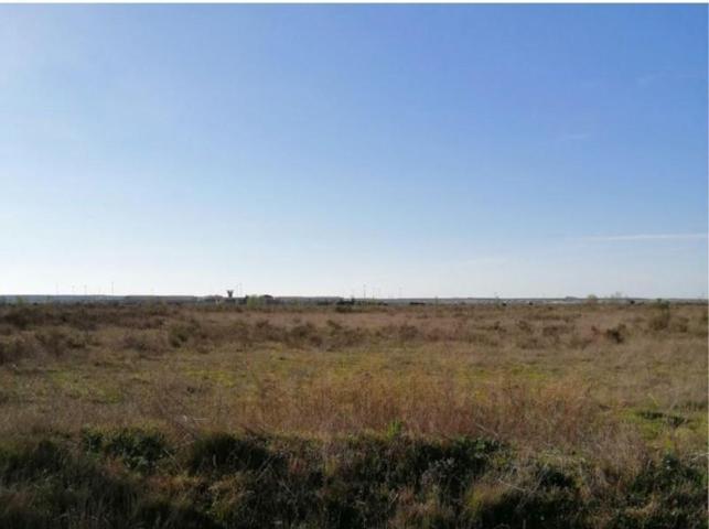 Terreno en venta en Mansilla de las Mulas, Mansilla de las mulas photo 0