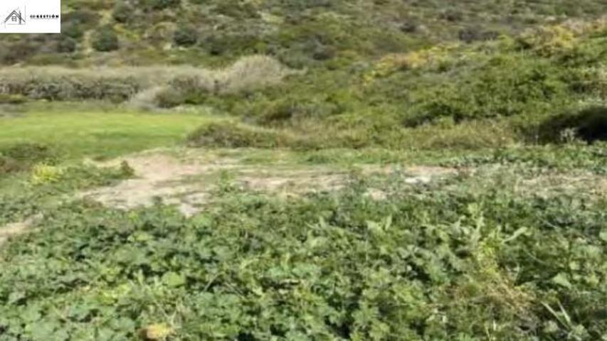 Terreno en venta en Manilva, Alcorrín photo 0