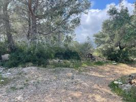 Terreno en venta en Mont-roig del Camp, Bonmont photo 0