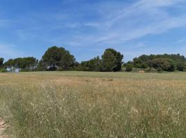 Terreno en venta en Saus, Camallera Pueblo photo 0