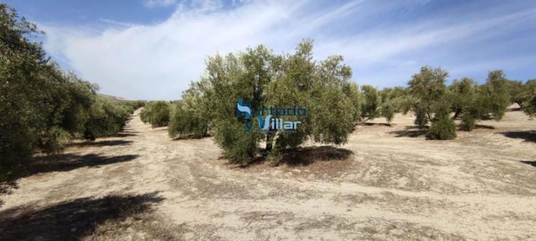 Chalet en venta en Torreperogil, Torreperogil photo 0