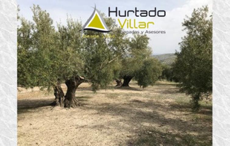 Chalet en venta en Torreperogil, Torreperogil photo 0